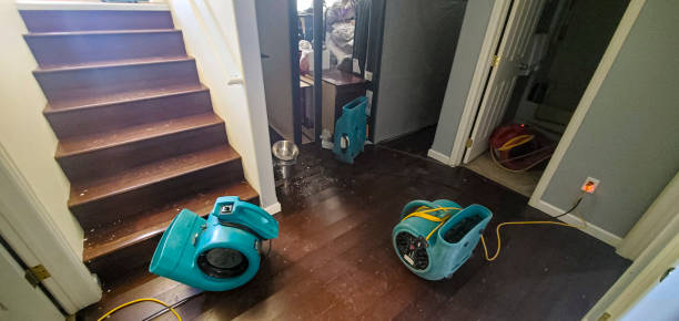 Best Water damage restoration mold remediation  in Boonton, NJ