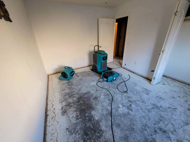 Best Water damage restoration near me  in Boonton, NJ