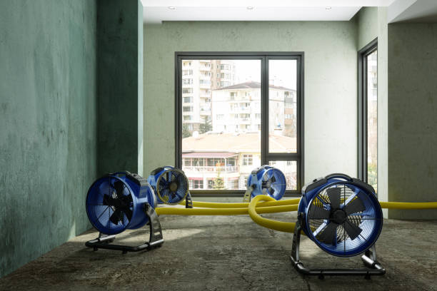 Best Residential water damage restoration  in Boonton, NJ